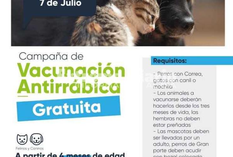 Imagen de Vacunaci&oacute;n antirr&aacute;bica gratuita en la Plaza P&uacute;blica de Fighiera