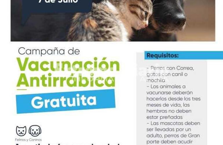 Imagen de Vacunaci&oacute;n antirr&aacute;bica gratuita en la Plaza P&uacute;blica de Fighiera