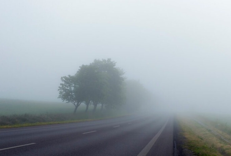 Imagen de Otra vez niebla, inestabilidad y humedad