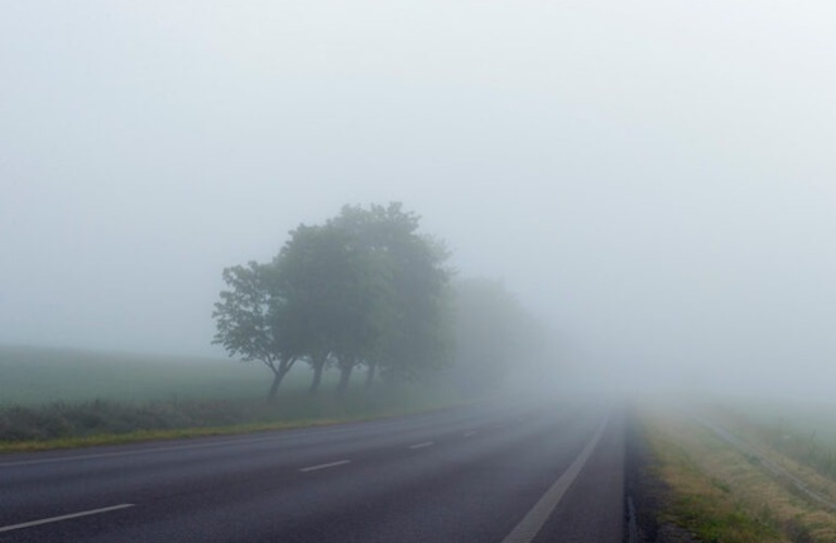 Imagen de Otra vez niebla, inestabilidad y humedad