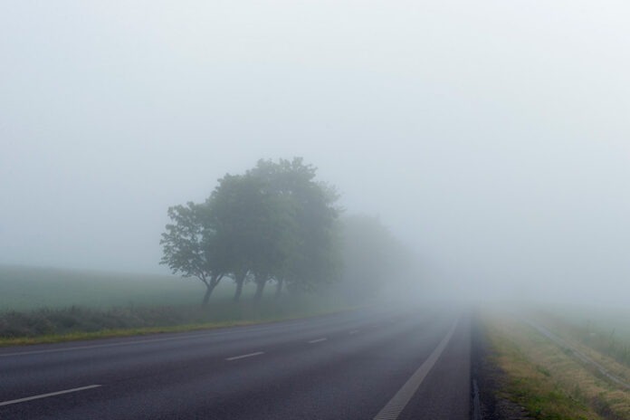 Imagen de Otra vez niebla, inestabilidad y humedad