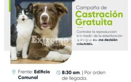 Imagen de Nueva jornada de castraciones gratuitas en Fighiera