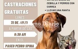 Imagen de Arroyo Seco: Nueva jornada de castraciones gratuitas