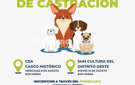 Imagen de Doble jornada de castraciones gratuitas en Alvear