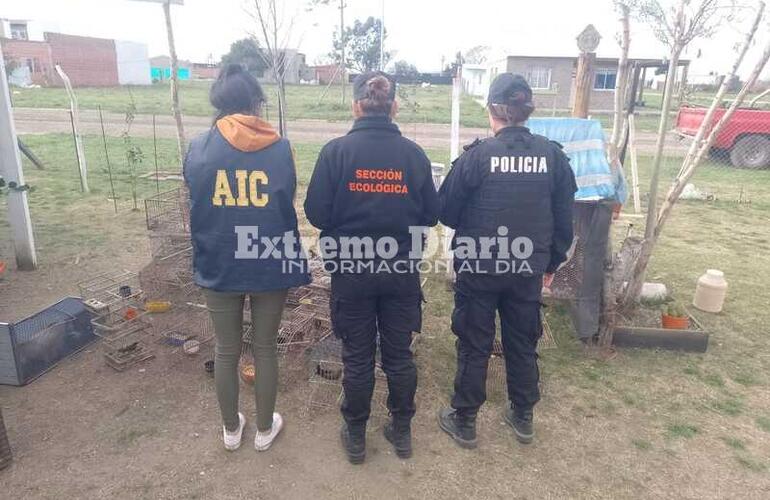 Imagen de Allanamiento en Pavón: Rescatan aves en peligro de extinción y arrestan a un masculino