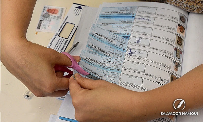 Imagen de Este martes comienza el escrutinio definitivo de las elecciones primarias