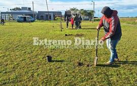 Imagen de Alumnos de la Escuela Especial y el Vivero plantaron &aacute;rboles en la plaza �Mariano Astun�