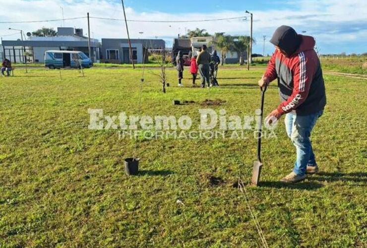 Imagen de Alumnos de la Escuela Especial y el Vivero plantaron árboles en la plaza Mariano Astun