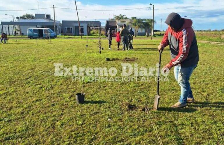 Imagen de Alumnos de la Escuela Especial y el Vivero plantaron árboles en la plaza Mariano Astun