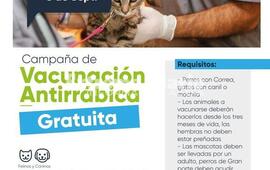 Imagen de Nueva jornada de vacunaci&oacute;n antirr&aacute;bica en Fighiera
