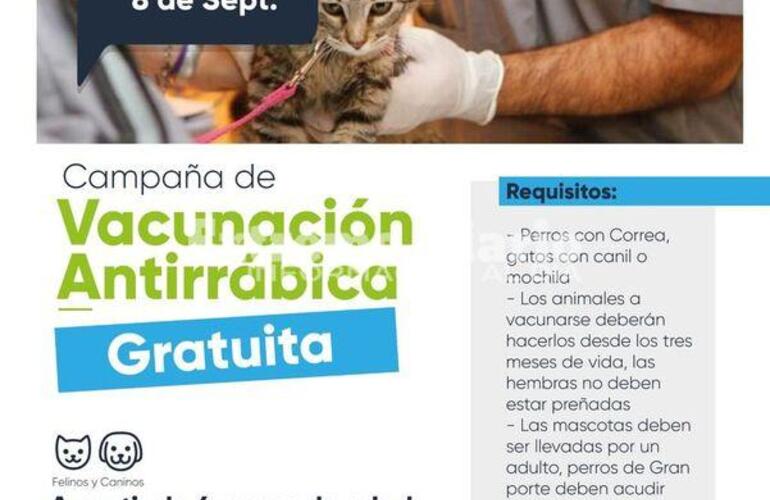 Imagen de Nueva jornada de vacunaci&oacute;n antirr&aacute;bica en Fighiera