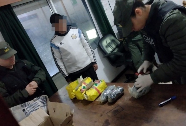 El momento en que los agentes encontraron la droga escondida entre la yerba. (Gendarmería)