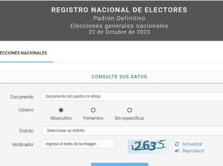 Imagen de Publicaron el padrón definitivo para las elecciones generales de octubre