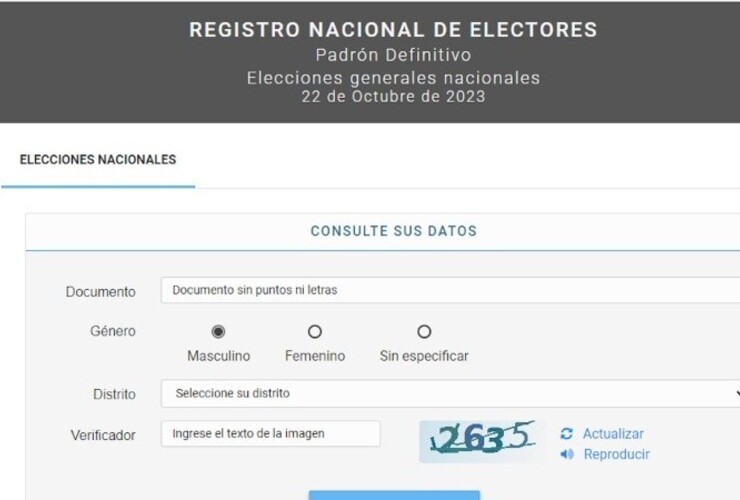 Imagen de Publicaron el padrón definitivo para las elecciones generales de octubre