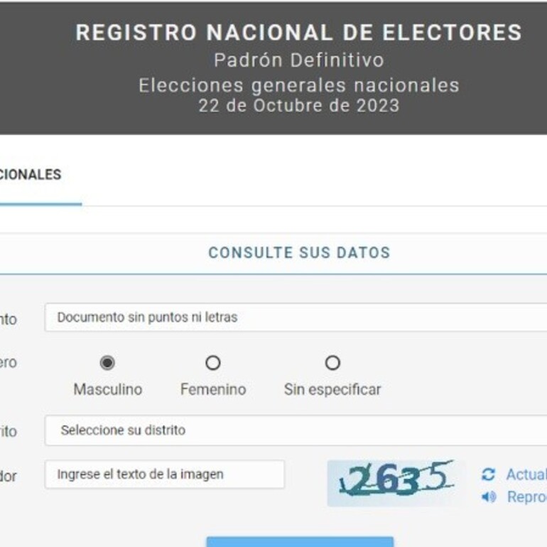 Imagen de Publicaron el padrón definitivo para las elecciones generales de octubre