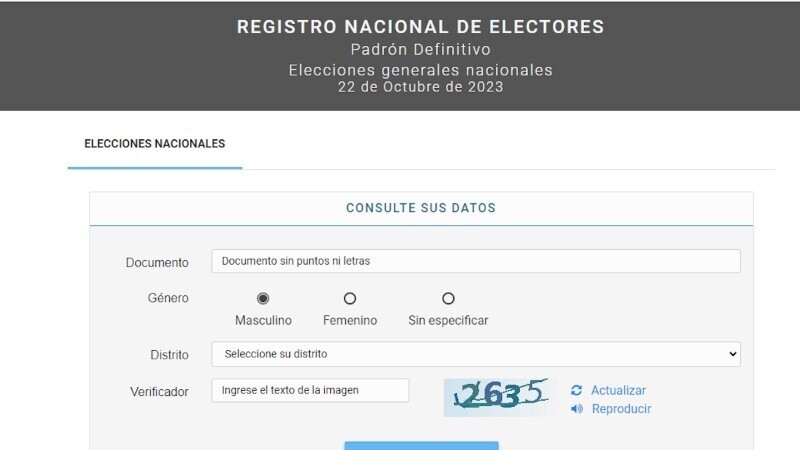 Imagen de Publicaron el padr&oacute;n definitivo para las elecciones generales de octubre