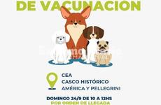 Imagen de Este domingo habrá vacunación antirrábica en Alvear