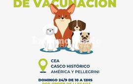 Imagen de Este domingo habr&aacute; vacunaci&oacute;n antirr&aacute;bica en Alvear