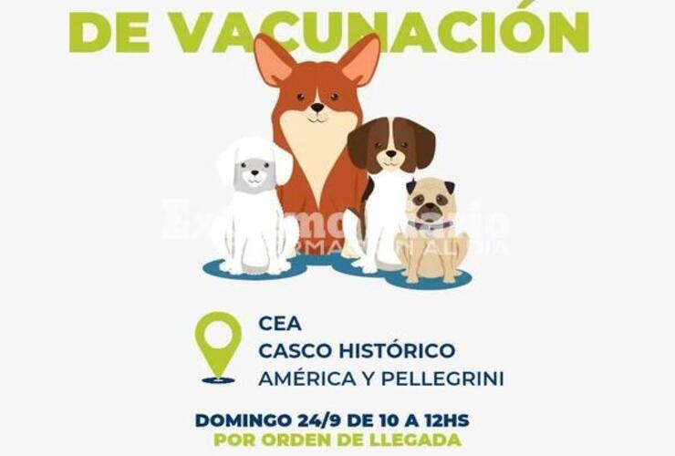 Imagen de Este domingo habr&aacute; vacunaci&oacute;n antirr&aacute;bica en Alvear