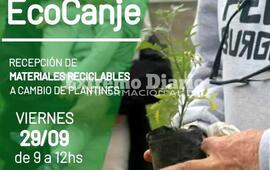 Imagen de Viernes de EcoCanje en el vivero municipal
