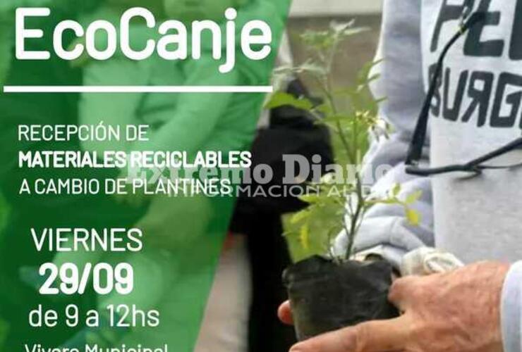 Imagen de Viernes de EcoCanje en el vivero municipal