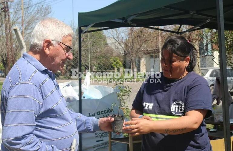 Imagen de EcoCanje: Gran jornada de intercambio en el vivero municipal