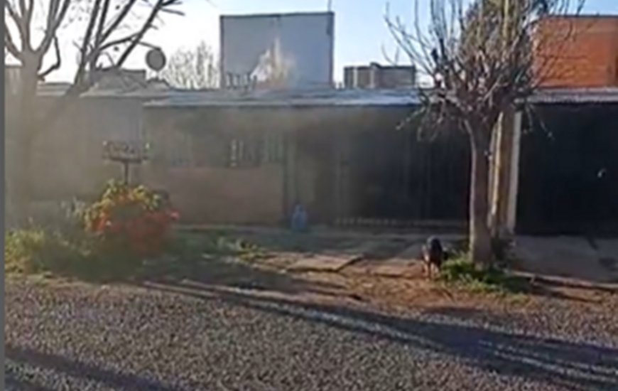 Imagen de Principio de incendio en Humberto Primo al 1300