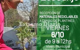 Imagen de Viernes de EcoCanje en el vivero municipal