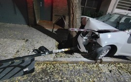 El conductor, de 44 a&ntilde;os, fue asistido por la ambulancia y se constat&oacute; que sufri&oacute; traumatismos en el cr&aacute;neo.