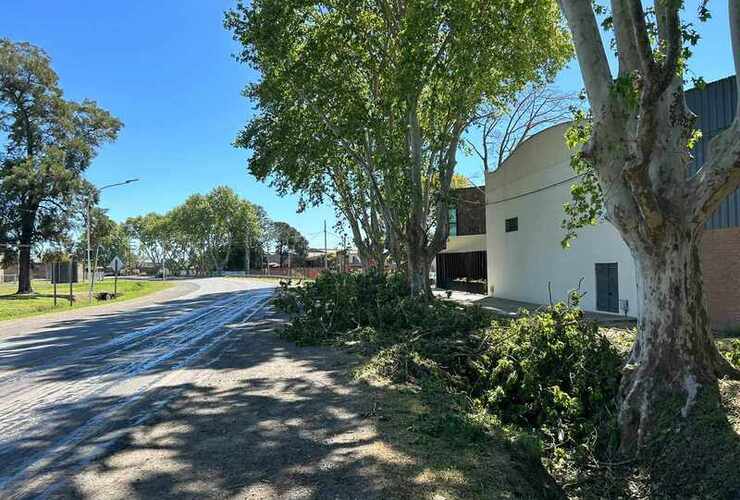 El permiso del ministerio de Ambiente y Cambio Clim&aacute;tico toma mayor peso y podr&aacute;n extraer ejemplares.