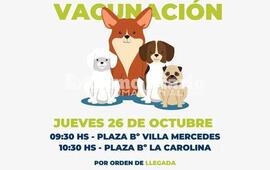 Imagen de Nueva jornada de vacunaci&oacute;n antirr&aacute;bica en Alvear