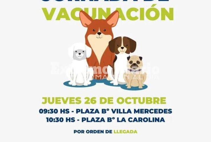 Imagen de Nueva jornada de vacunaci&oacute;n antirr&aacute;bica en Alvear