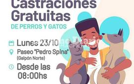 Imagen de Campa&ntilde;a de castraciones gratuitas: Nueva jornada en el Paseo Pedro Spina