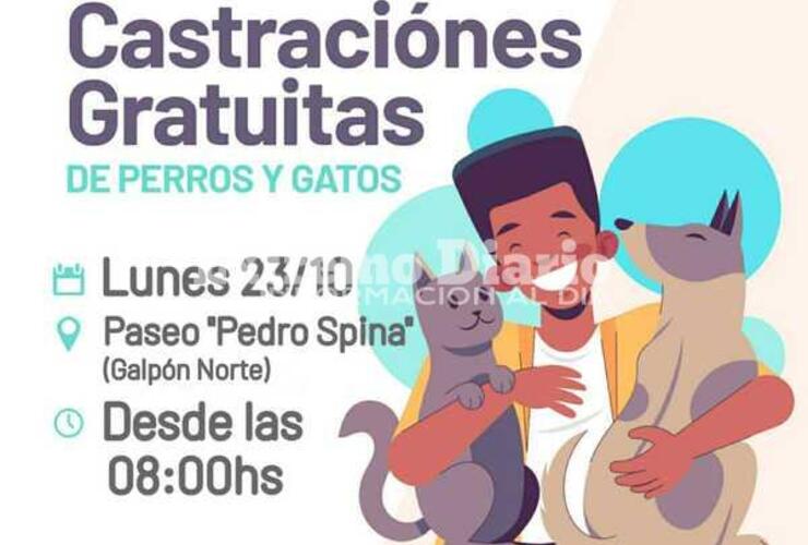 Imagen de Campaña de castraciones gratuitas: Nueva jornada en el Paseo Pedro Spina