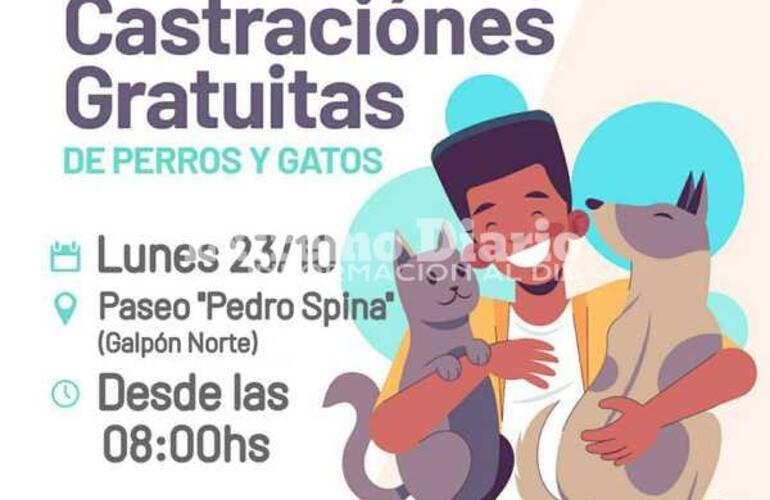 Imagen de Campaña de castraciones gratuitas: Nueva jornada en el Paseo Pedro Spina