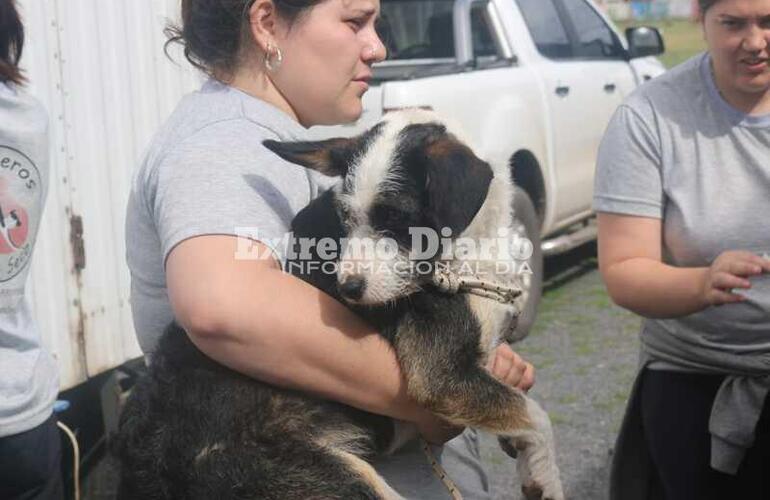 Imagen de Se realizó una nueva jornada de castraciones gratuitas en Arroyo Seco