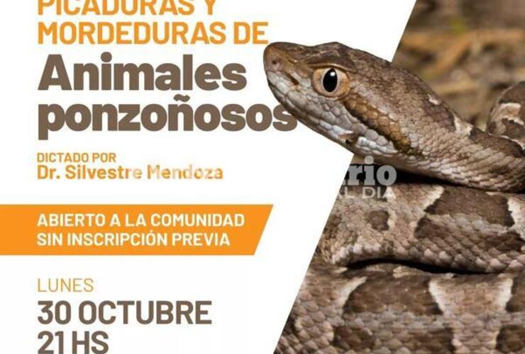 Imagen de Charla abierta sobre picaduras y mordeduras de animales ponzoñosos