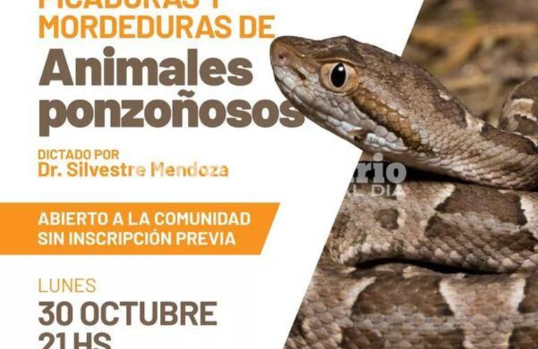 Imagen de Charla abierta sobre picaduras y mordeduras de animales ponzoñosos