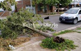 Imagen de Se registraron r&aacute;fagas de viento de hasta 50 KM/H en Arroyo Seco