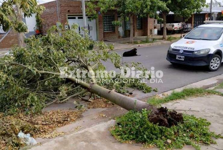 Imagen de Se registraron ráfagas de viento de hasta 50 KM/H en Arroyo Seco