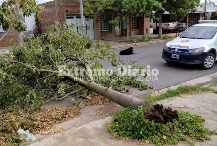Imagen de Se registraron r&aacute;fagas de viento de hasta 50 KM/H en Arroyo Seco