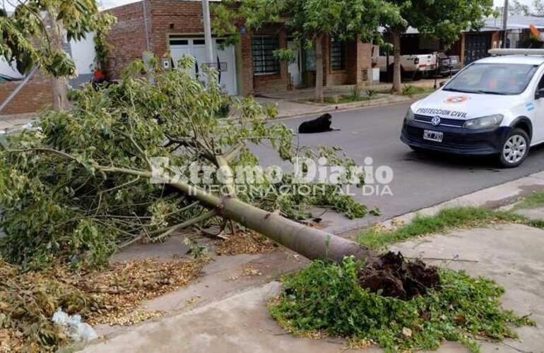 Imagen de Se registraron ráfagas de viento de hasta 50 KM/H en Arroyo Seco