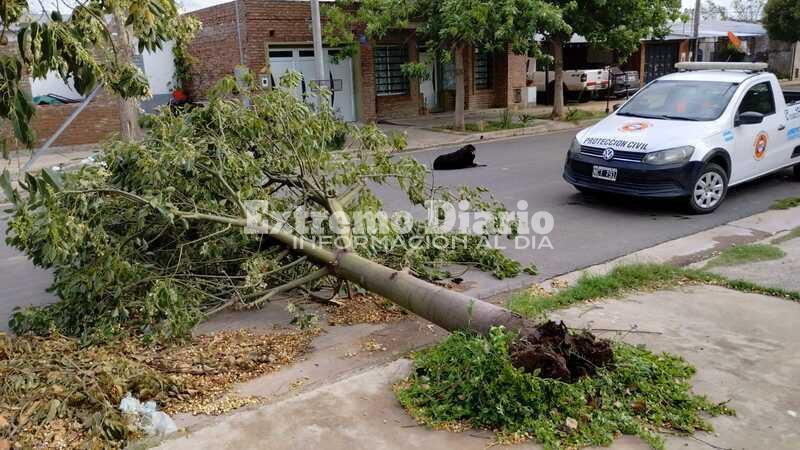 Imagen de Se registraron r&aacute;fagas de viento de hasta 50 KM/H en Arroyo Seco