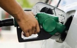 Imagen de Petroleras presentaron al gobierno un plan de acci&oacute;n para normalizar abastecimiento de combustibles