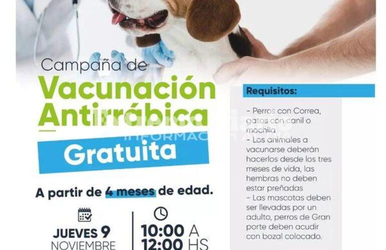 Imagen de Nueva jornada de vacunaci&oacute;n antirr&aacute;bica en Fighiera