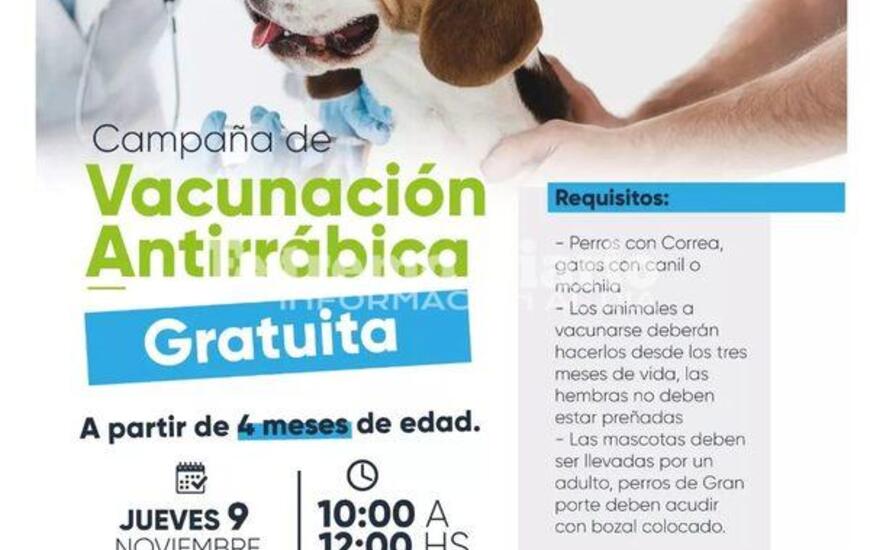 Imagen de Nueva jornada de vacunaci&oacute;n antirr&aacute;bica en Fighiera