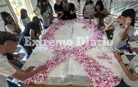 Imagen de �Mil grullas y un deseo�: El proyecto de los alumnos de la EESOPI N&deg;3007 por el c&aacute;ncer de mama
