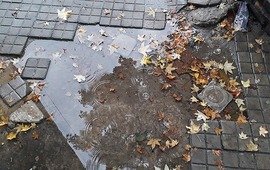 Imagen de Mi&eacute;rcoles fresco y con lluvias aisladas durante todo el d&iacute;a