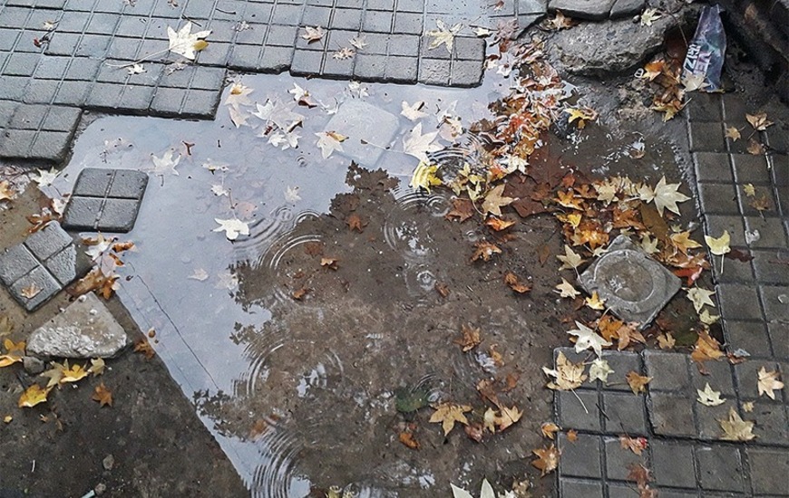 Imagen de Mi&eacute;rcoles fresco y con lluvias aisladas durante todo el d&iacute;a