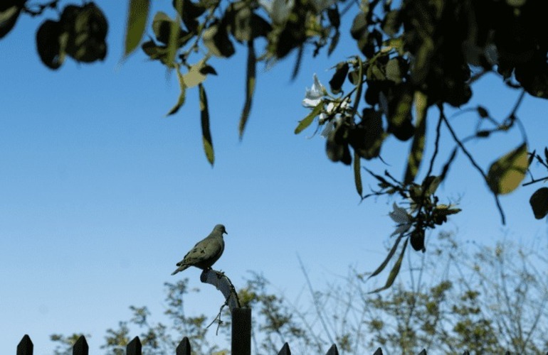 Sol y buen clima para este s&aacute;bado. (Ana Isla/Rosario3)